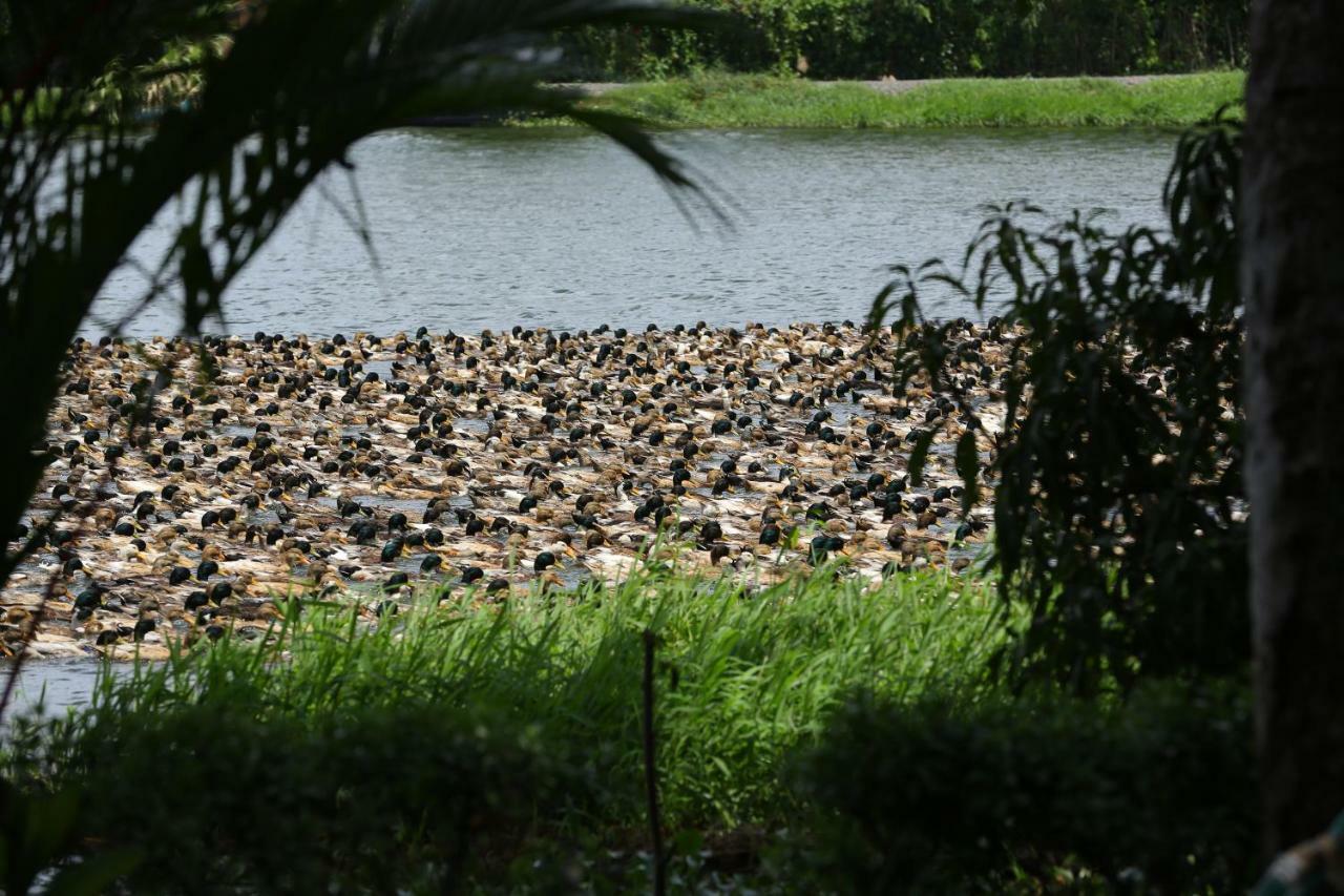 Green Palace Ayurveda Resort, Alleppey Alappuzha Екстериор снимка
